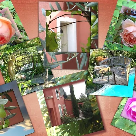 Guest house Lou Pero Mousco *